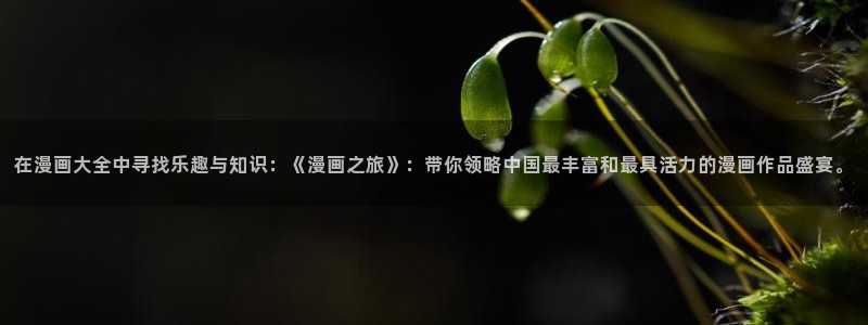 漫蛙漫画tl：在漫画大全中寻找乐趣与知识：《漫画之旅》：带你领略中国最丰富和最具活力的漫画作品盛宴。